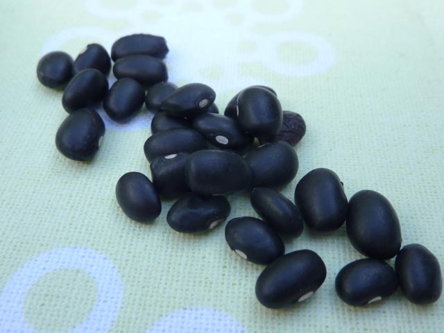 Black or Turtle Beans...