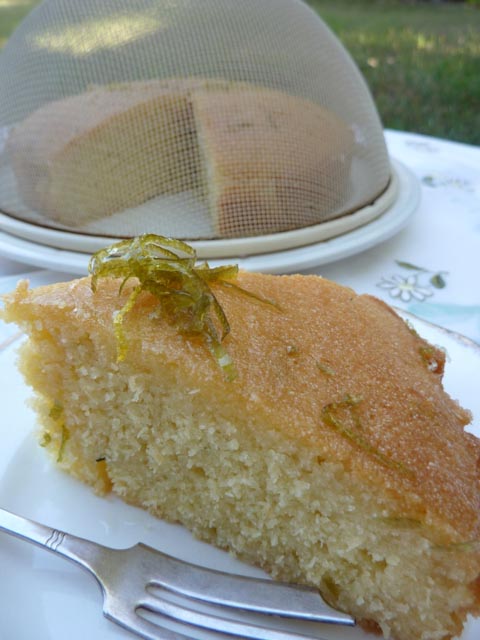 Fragrant Coconut Lime & Rosemary Syrup Cake