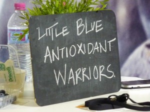 Bluberries Antioxidant sign
