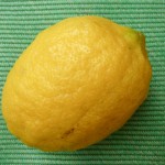 a large, knobbly homegrown lemon on a green backgrouns