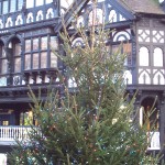 Christmas Tree & half timbered building in Chester, UK